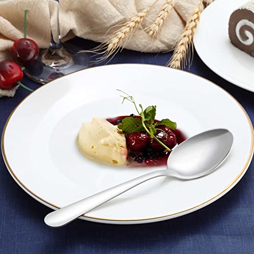 36 Piece Dinner Spoons Set (36 Count)