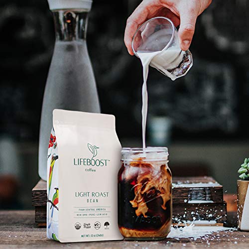 Light Roast Low Acid Coffee Beans (12 Ounce)