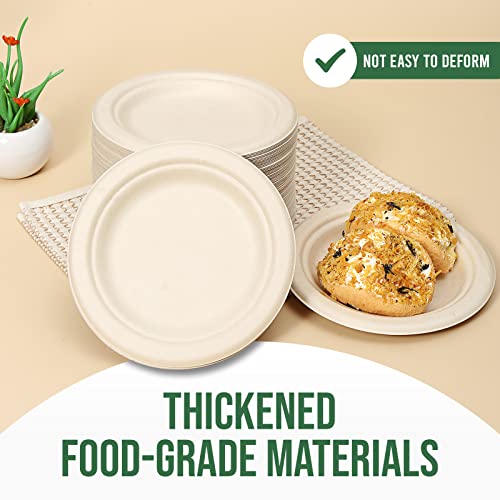 Small Disposable Paper Plates 6 inch (100 Count)
