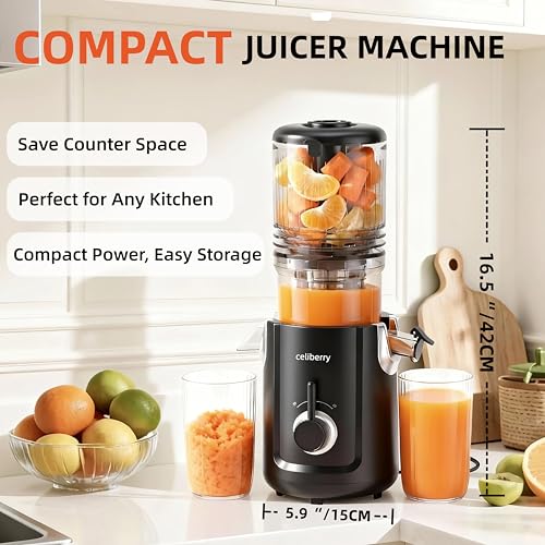 Cold Press Juicer Machines