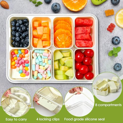 Divided Serving Tray with Lid and Handle