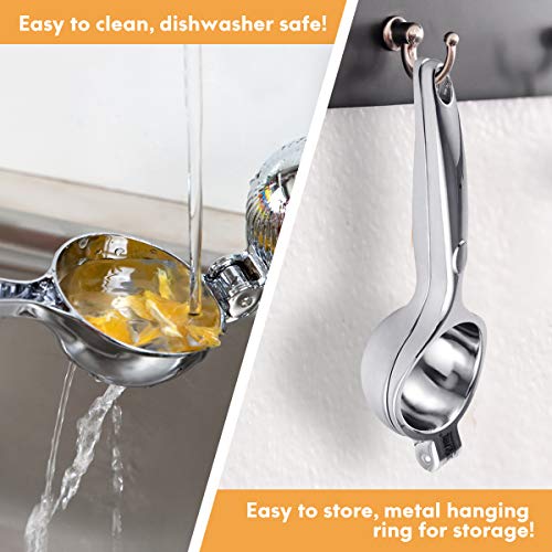 Lemon Squeezer Combo