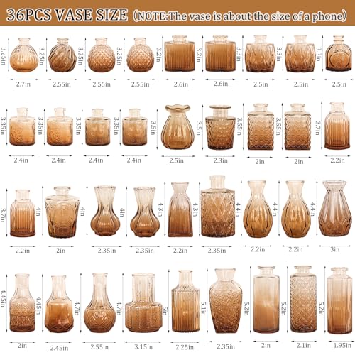 Set of 36 Glass Bud Vases Small Flower Vases for Centerpieces (36 Count)