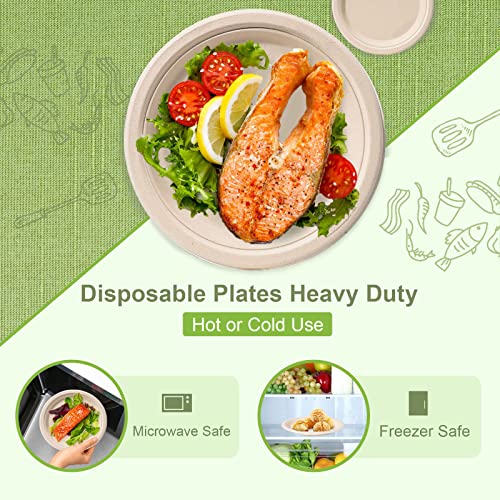 Disposable Paper Plates 9 inch (50 Count)