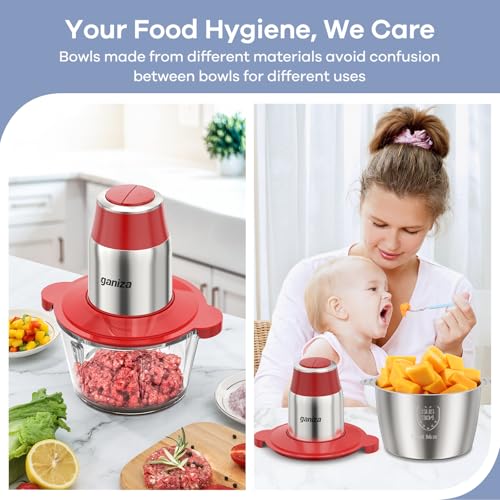 Food Processors with 2 Bowls