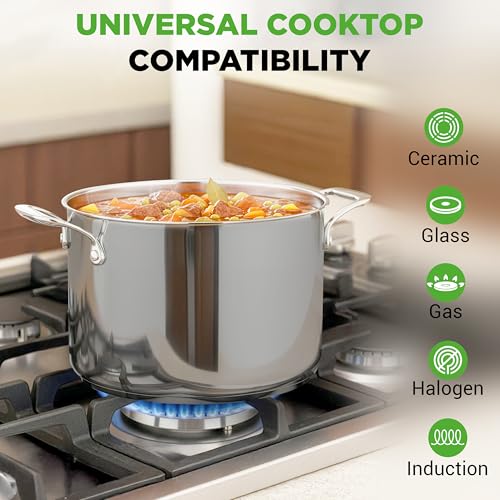 8 Quart Stainless Steel Stock Pot