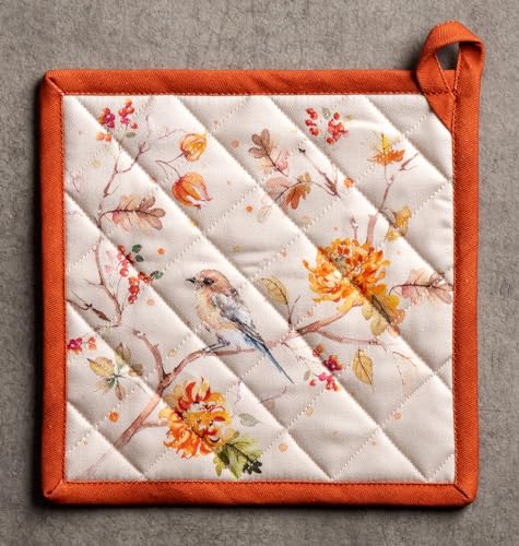 Pot Holders 100% Cotton Potholders (2 Count)