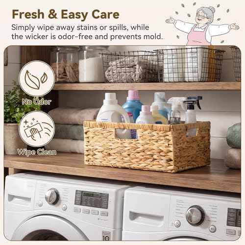 Wicker Baskets with Handles