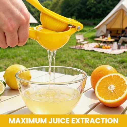 Lemon Squeezer