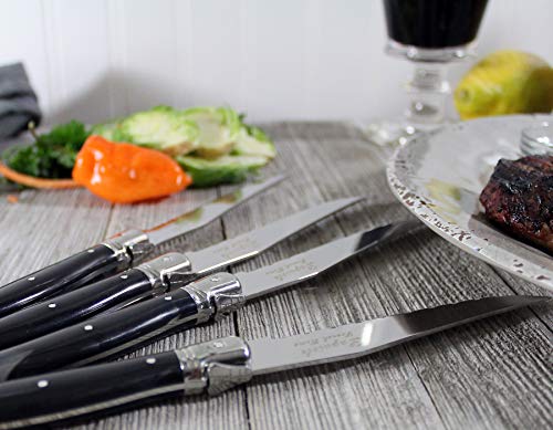 Laguiole 20 Piece Stainless Steel Flatware Set
