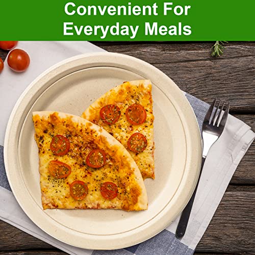 Compostable 9 Inch Paper Plates (150 Count)