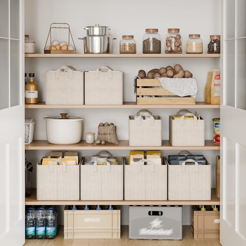 Closet Storage Bins (2 Count)