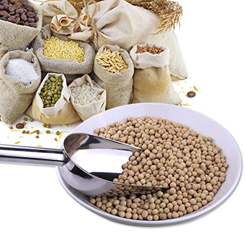 Food Ice Scoop