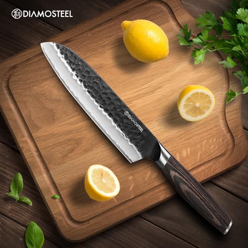 Japanese Santoku Knife