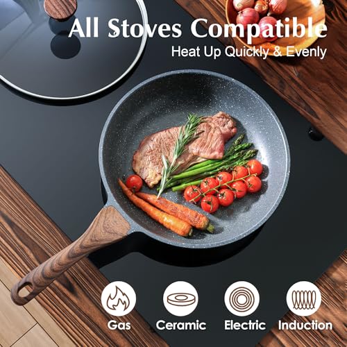 10inch Nonstick Frying Pan Chef's Pan with Glass Lid