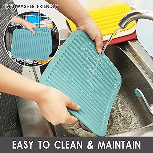 Orange Silicone Trivets Mats for Hot Dishes and Hot Pots (2 Count)