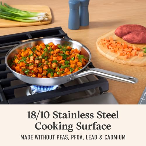 Stainless Steel 8 (8 Count)