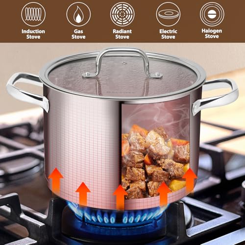 Stainless Steel Stock Pot