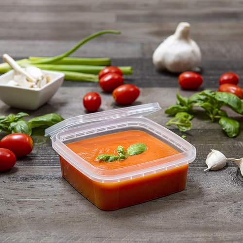 8 oz 20 Pack Square Clear Deli Containers with Lids Disposable BPA Free Square Plastic Food Storage Containers with Lids Airtight for Meal Prep Take Out Kitchen (20 Count)