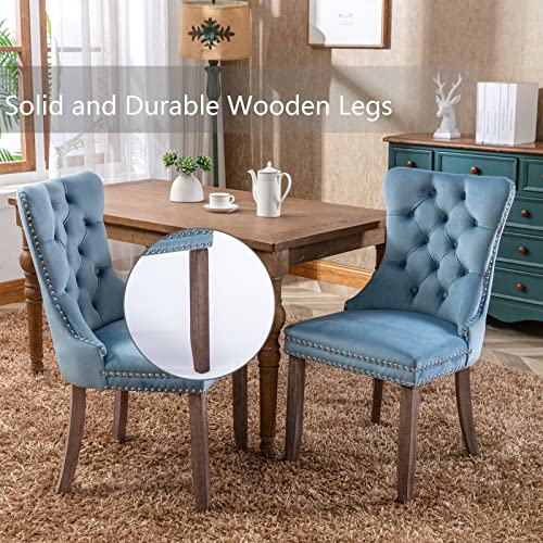 Light Blue Velvet Dining Chairs Set of 4 (4 Count)