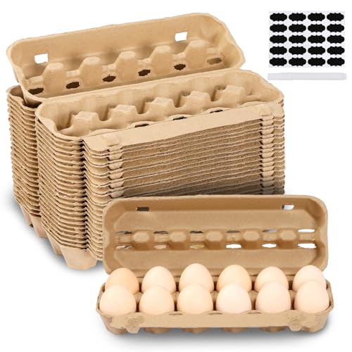 25 Pack Empty Egg Cartons 12 Count
