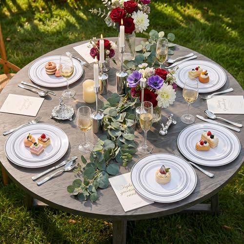 102 Pcs Silver Plastic Plates (51 Count)