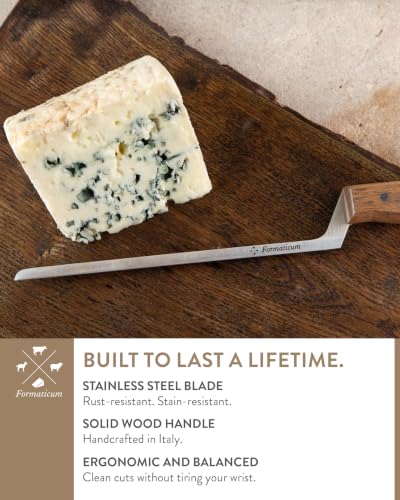 Professional Blue Cheese Knife