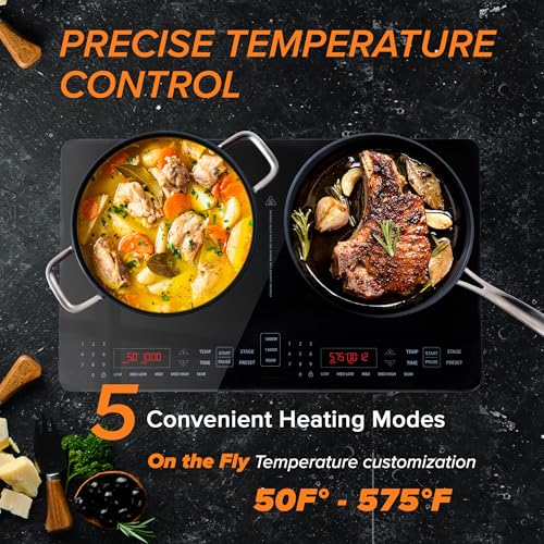 Double Pro Cooktop Induction Countertop Burner