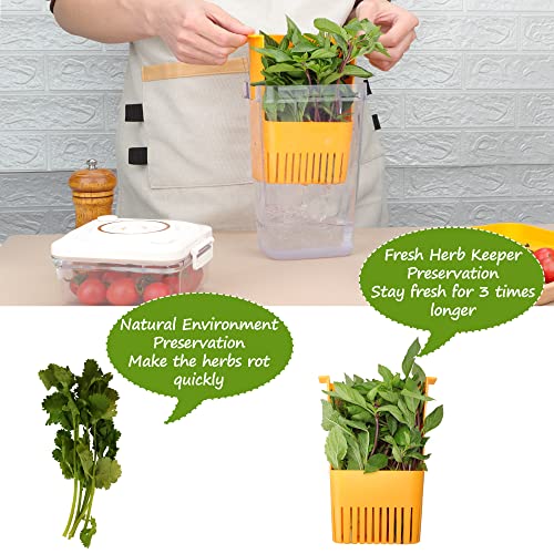 3 Pack Fresh Herb Keeper for Refrigerator