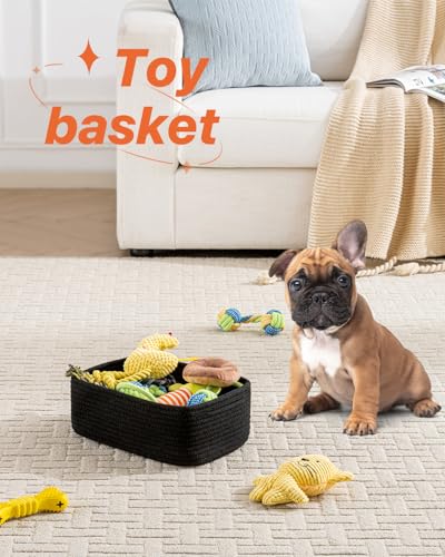 Small Woven Storage Basket for Organizing (3 Count)