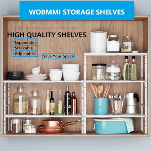 Expandable Adjustable & Stackable Spice Rack (2 Count)
