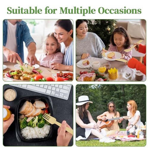 300 Count Disposable Compostable Bamboo Spoons for Party
