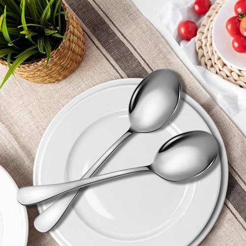 Stainless Steel Serving Spoons Set (8 Count)