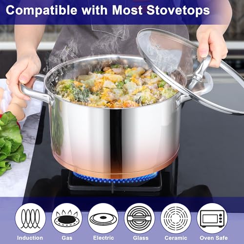Stainless Steel Stock Pot