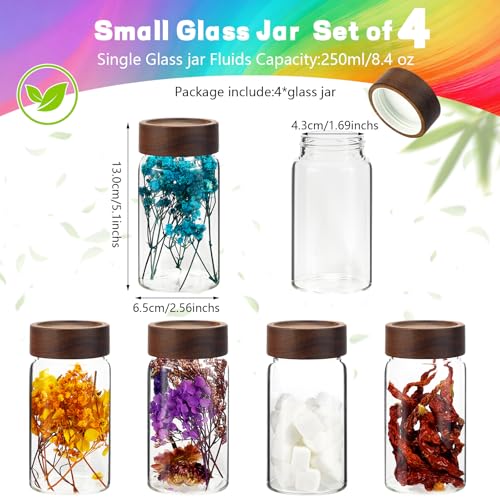 8 oz Small Glass Spice Jars with Airtight Wood Acacia Lid 4 PCS