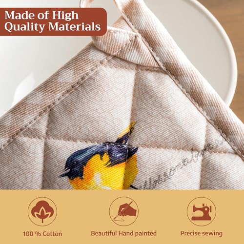 Pot Holders 100% Cotton Potholders (2 Count)