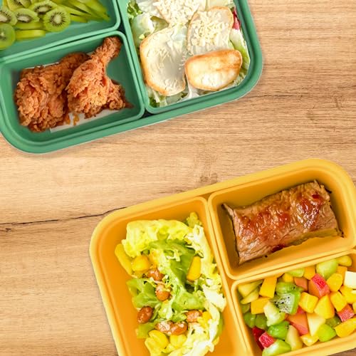 Platinum Silicone Bento Lunch Box Set of 2 (2 Count)