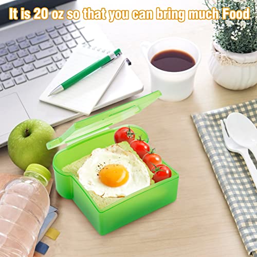 20 Oz Sandwich Containers for Kids (4 Count)