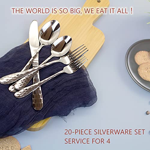 20 Piece Silverware Set
