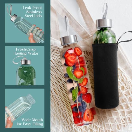 16 oz Glass Water Bottles (6 Count)
