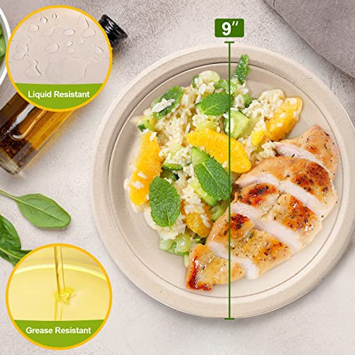 Disposable Paper Plates 9 inch (50 Count)