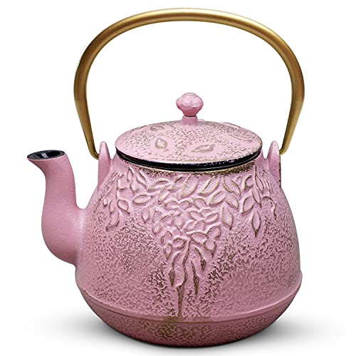 Japanese Cast Iron Teapot with Infuser