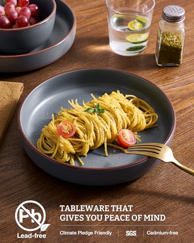 Mercury Pasta Bowls Set of 4 (4 Count)