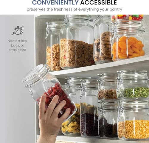 Fido Glass Jars (2 Count)