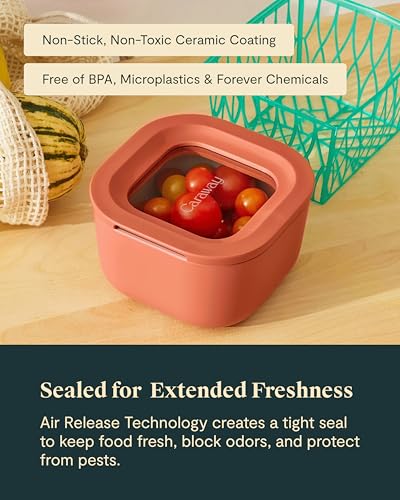 2 Piece Glass Food Storage Container Set (2 Count)