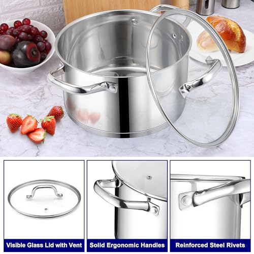 Stainless Steel Stock Pot