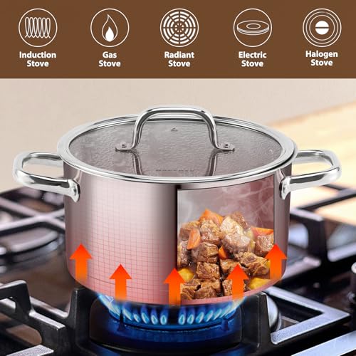 Stainless Steel Stock Pot