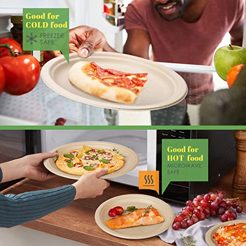 Compostable Paper Plates Napkins Set 250pcs Disposable Plates