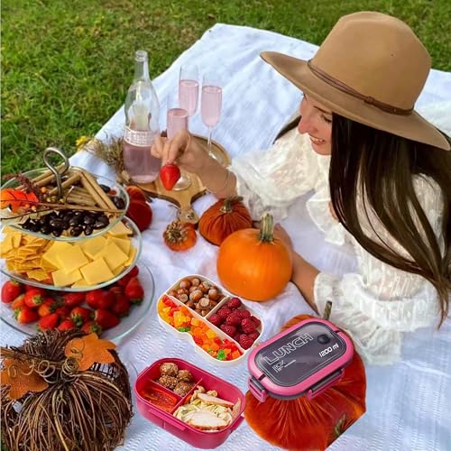 Double Layer Bento Box with Cutlery