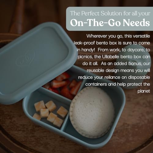 Kids Bento Box